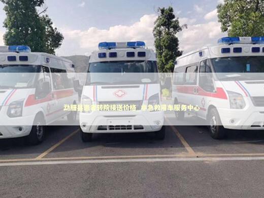 勐腊县患者转院接送价格_非急救用车服务中心 医护人员素养