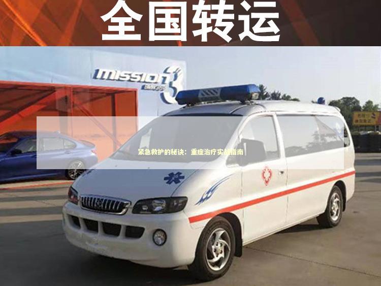 紧急救护的秘诀：重症治疗实战指南