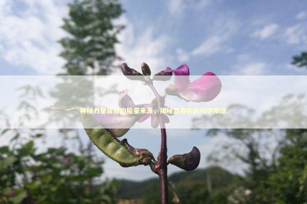 神秘力量背后的能量来源，揭秘其存在的科学依据