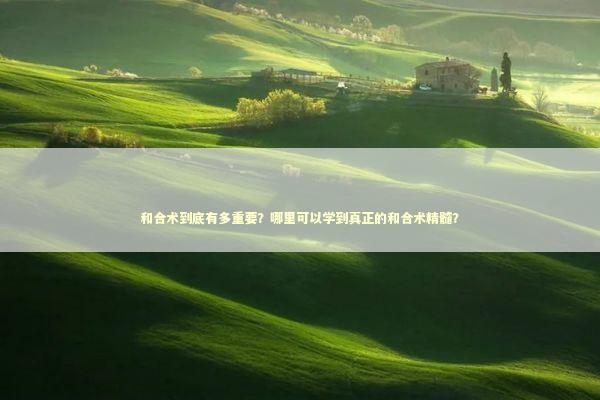 和合术到底有多重要？哪里可以学到真正的和合术精髓？