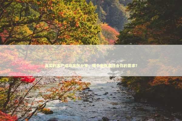 真实的客户成功案例分享，哪个案例最适合你的需求？