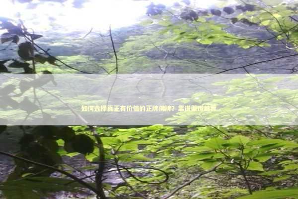 如何选择真正有价值的正牌佛牌？靠谱渠道推荐