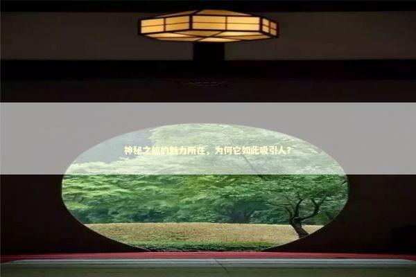 神秘之旅的魅力所在，为何它如此吸引人？