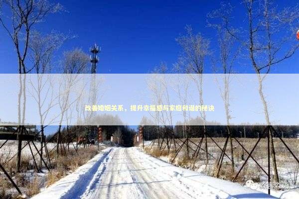 改善婚姻关系，提升幸福感与家庭和谐的秘诀