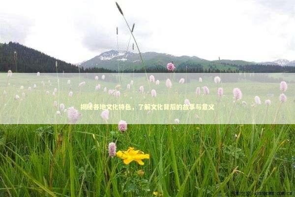 揭秘各地文化特色，了解文化背后的故事与意义