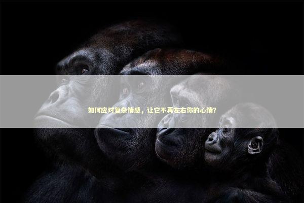 如何应对复杂情感，让它不再左右你的心情？