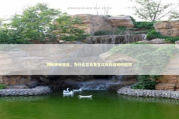 揭秘神秘反应，为什么它会发生以及你该如何应对
