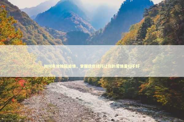 如何有效挽回感情，掌握这些技巧让你的爱情重归于好
