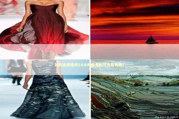 如何选择提供24小时服务的可靠服务商？