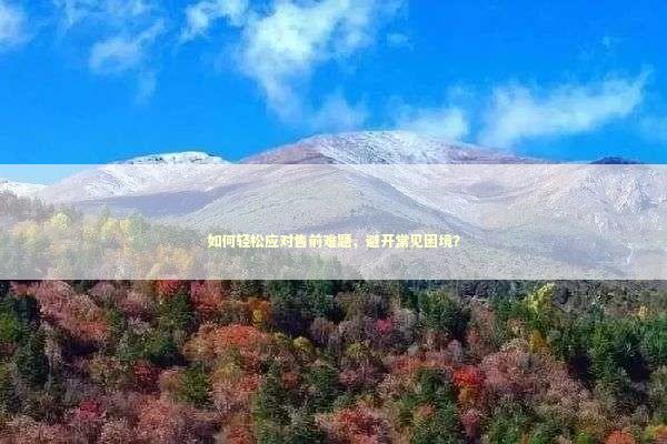 如何轻松应对售前难题，避开常见困境？