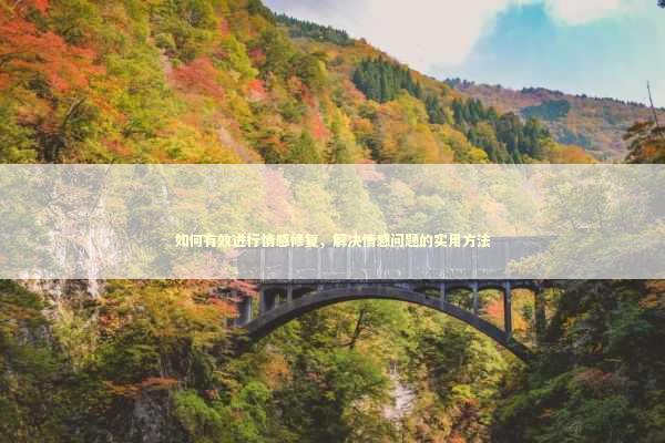 如何有效进行情感修复，解决情感问题的实用方法