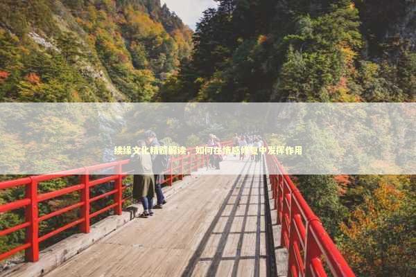 续缘文化精髓解读，如何在情感修复中发挥作用