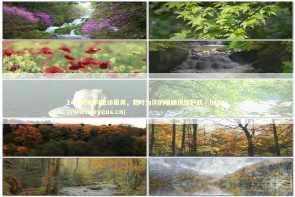 24小时眼科急诊服务，随时为你的眼睛保驾护航 | https://www.eyeos.cn/