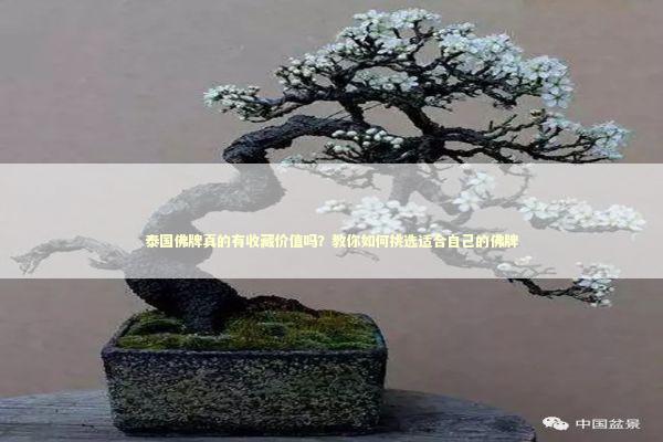 泰国佛牌真的有收藏价值吗？教你如何挑选适合自己的佛牌