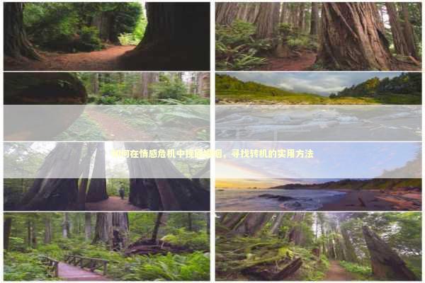 如何在情感危机中挽回婚姻，寻找转机的实用方法