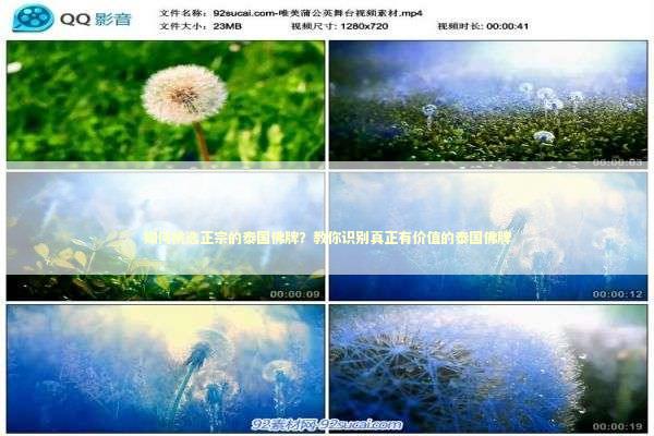 如何挑选正宗的泰国佛牌？教你识别真正有价值的泰国佛牌