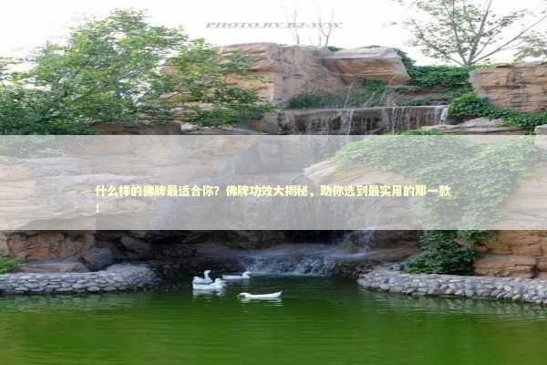 什么样的佛牌最适合你？佛牌功效大揭秘，助你选到最实用的那一款！