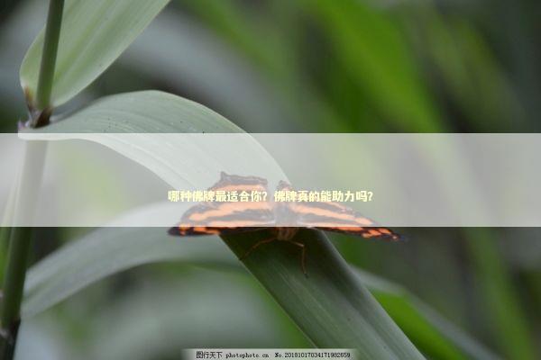 哪种佛牌最适合你？佛牌真的能助力吗？