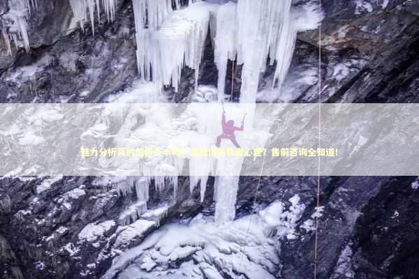 魅力分析真的值得入手吗？谁最懂消费者心理？售前咨询全知道！