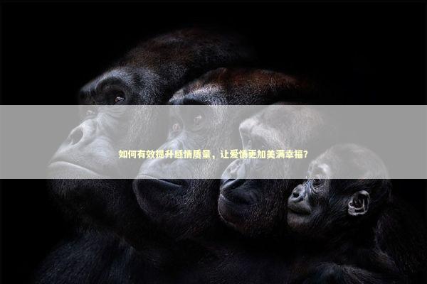 如何有效提升感情质量，让爱情更加美满幸福？