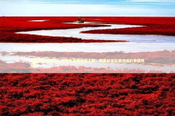 泰国文化深度游，哪些方面最值得了解？哪里能体验最地道的泰国风情？
