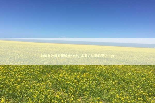 如何有效提升灵验度分析，实用方法助你更进一步