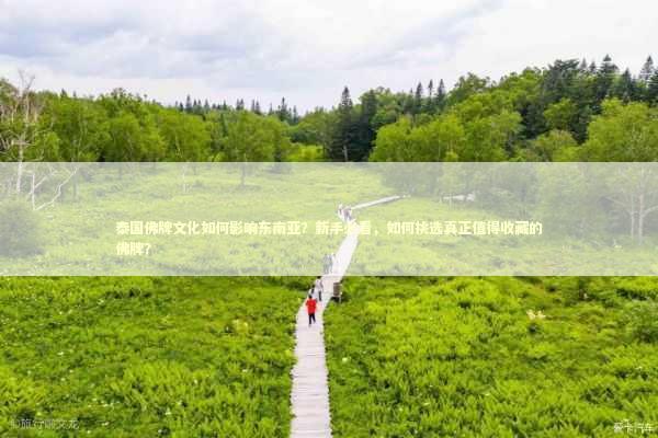 泰国佛牌文化如何影响东南亚？新手必看，如何挑选真正值得收藏的佛牌？