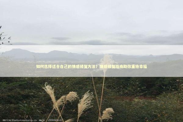 如何选择适合自己的情感修复方法？情感修复指南助你重拾幸福