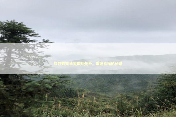 如何有效修复婚姻关系，重建幸福的秘诀