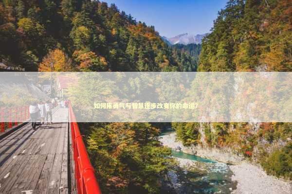 如何用勇气与智慧逐步改变你的命运？