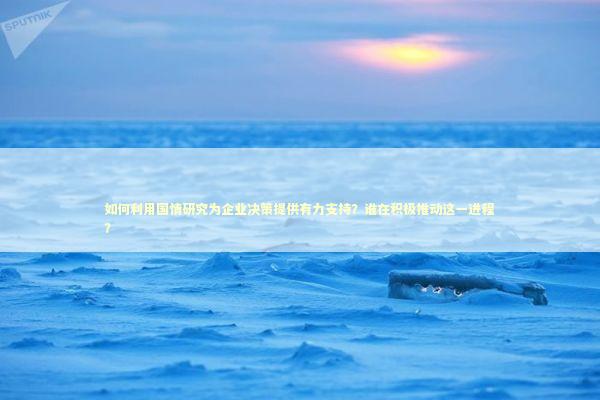 如何利用国情研究为企业决策提供有力支持？谁在积极推动这一进程？