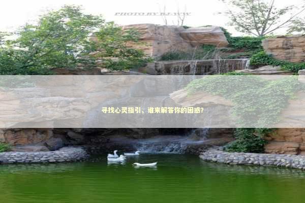 寻找心灵指引，谁来解答你的困惑？