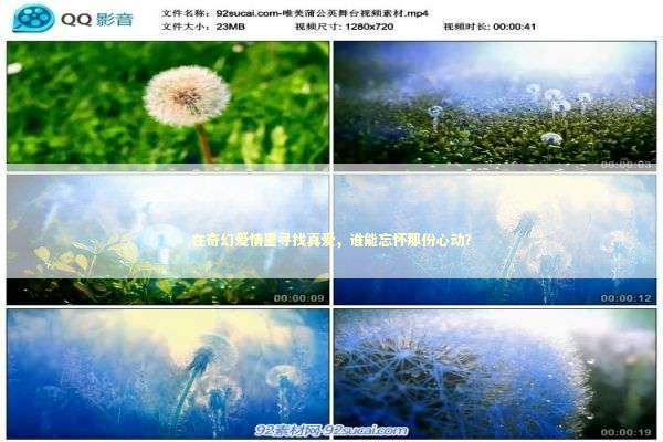 在奇幻爱情里寻找真爱，谁能忘怀那份心动？