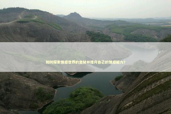 如何探索情感世界的奥秘并提升自己的情感能力？
