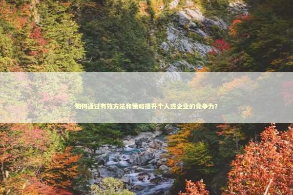 如何通过有效方法和策略提升个人或企业的竞争力？